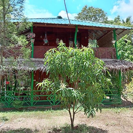 Sigiri Lion Eco Palace シギリヤ エクステリア 写真
