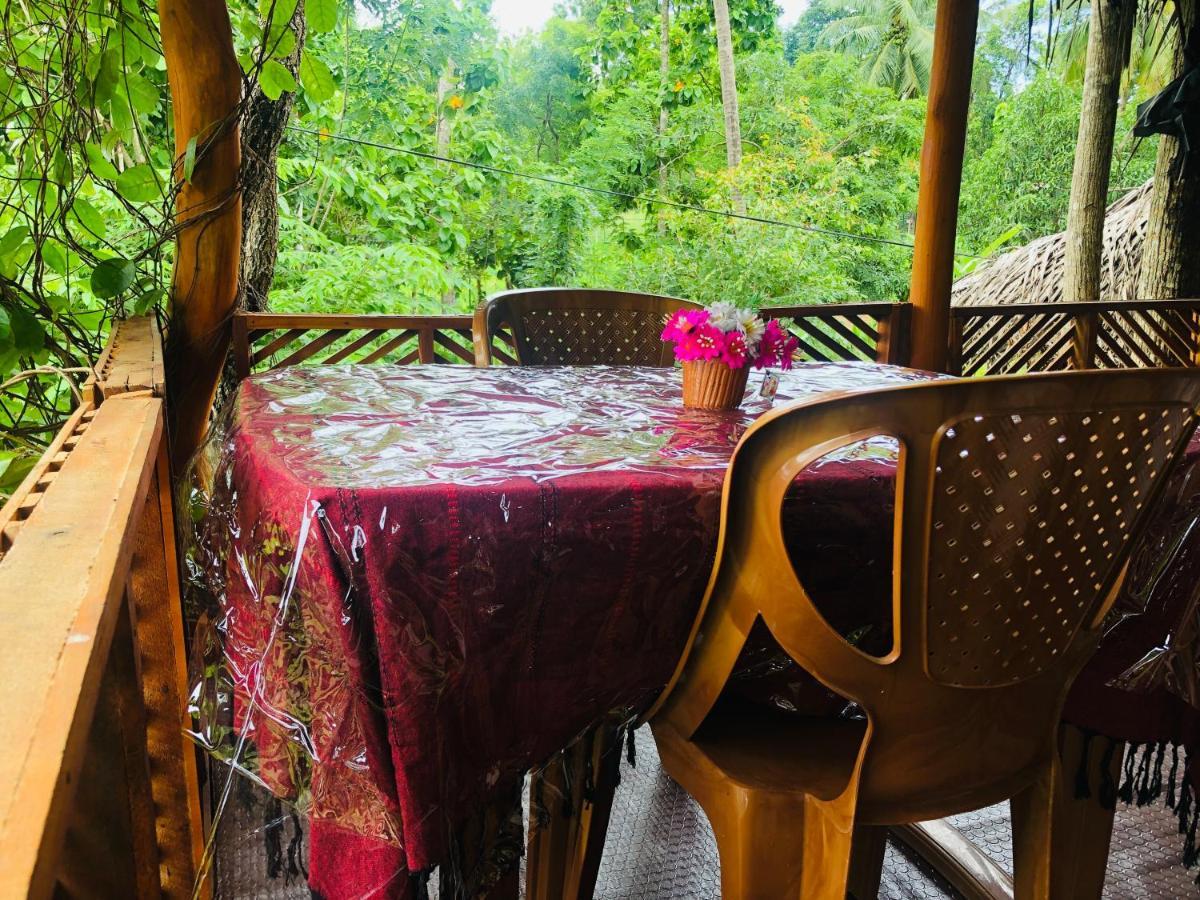 Sigiri Lion Eco Palace シギリヤ エクステリア 写真