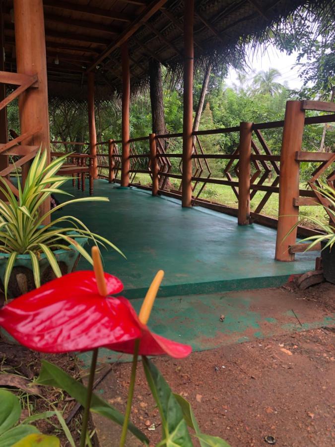 Sigiri Lion Eco Palace シギリヤ エクステリア 写真