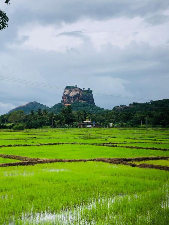 Sigiri Lion Eco Palace シギリヤ エクステリア 写真