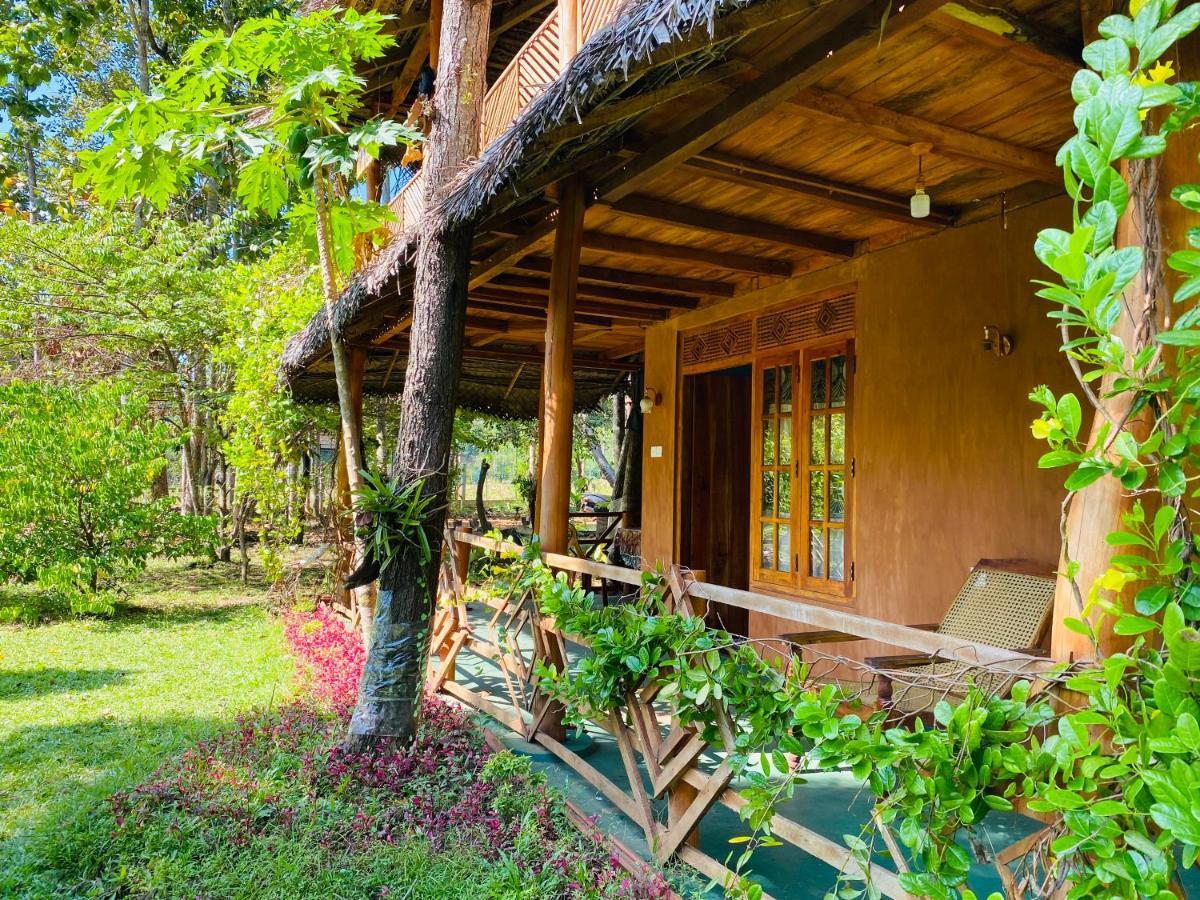 Sigiri Lion Eco Palace シギリヤ エクステリア 写真