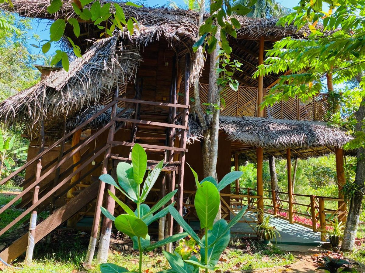 Sigiri Lion Eco Palace シギリヤ エクステリア 写真