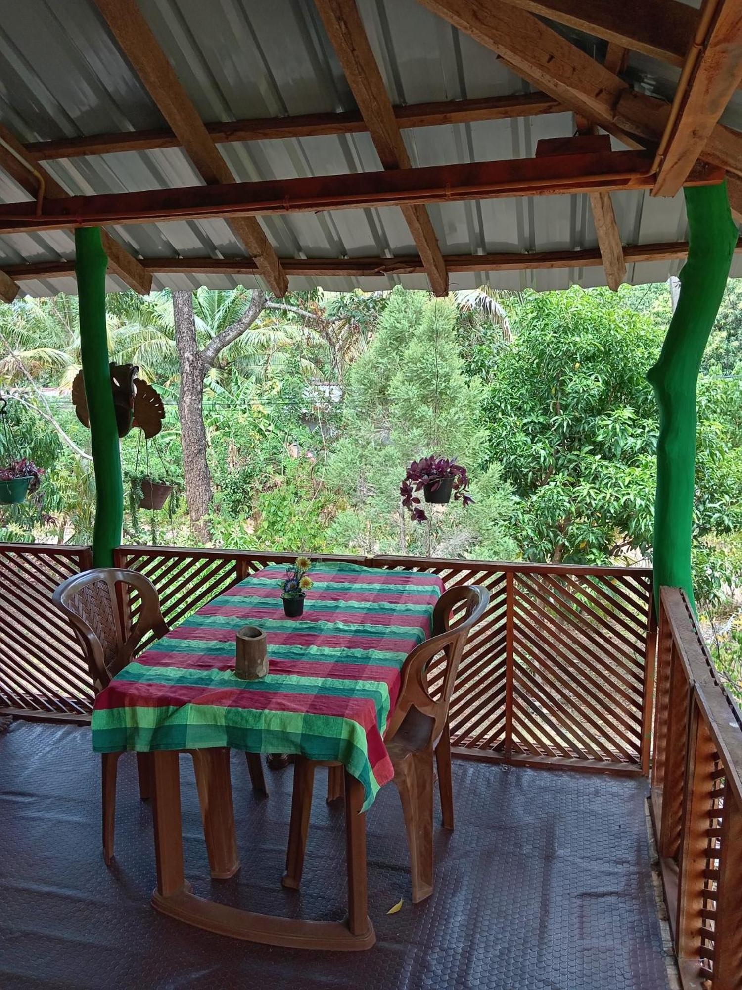 Sigiri Lion Eco Palace シギリヤ エクステリア 写真